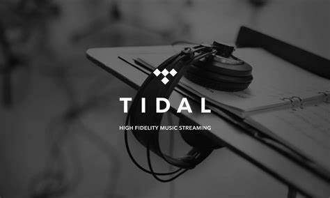 Bewertung des TIDAL-Streamingdienstes