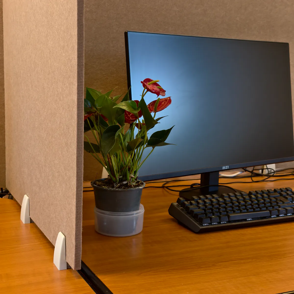 Taupefarbene Schreibtisch-Trennwände im Format 60 × 60 cm aus Filz, rechtwinklig auf einem Holzschreibtisch montiert, mit weißen Clips befestigt neben Monitor, Tastatur und einer kleinen Topfpflanze.